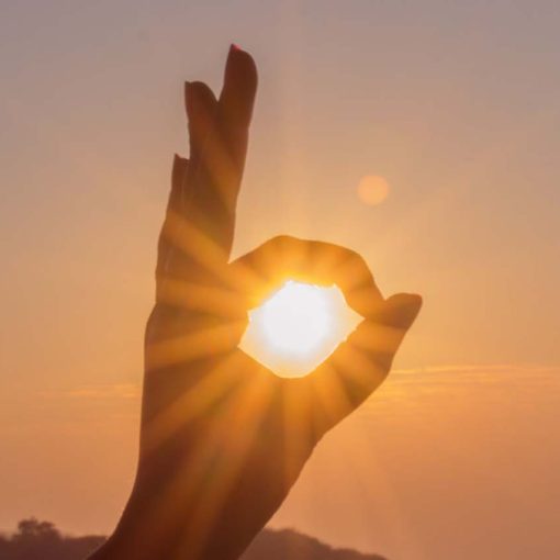 we explain all about Vitamin D.