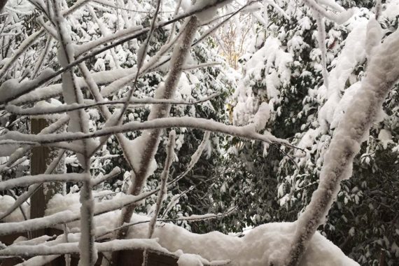 What does being healthy mean to me?