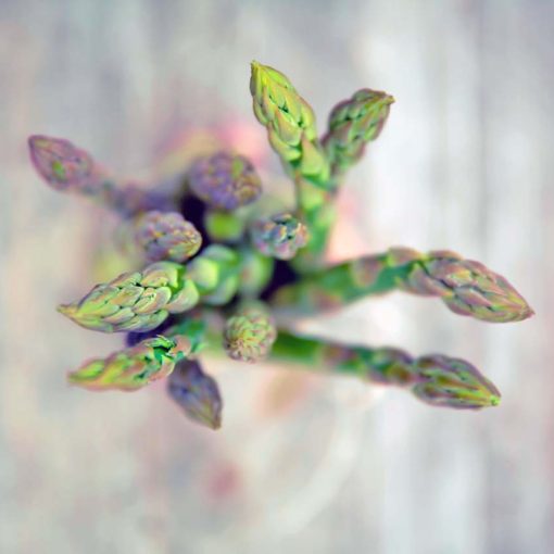 Spring is here and the asparagus crops are right around the corner.