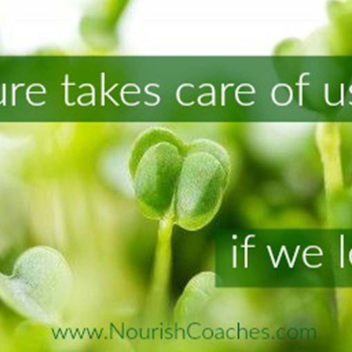 learn more about the benefits of eating with the seasons