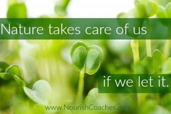 learn more about the benefits of eating with the seasons