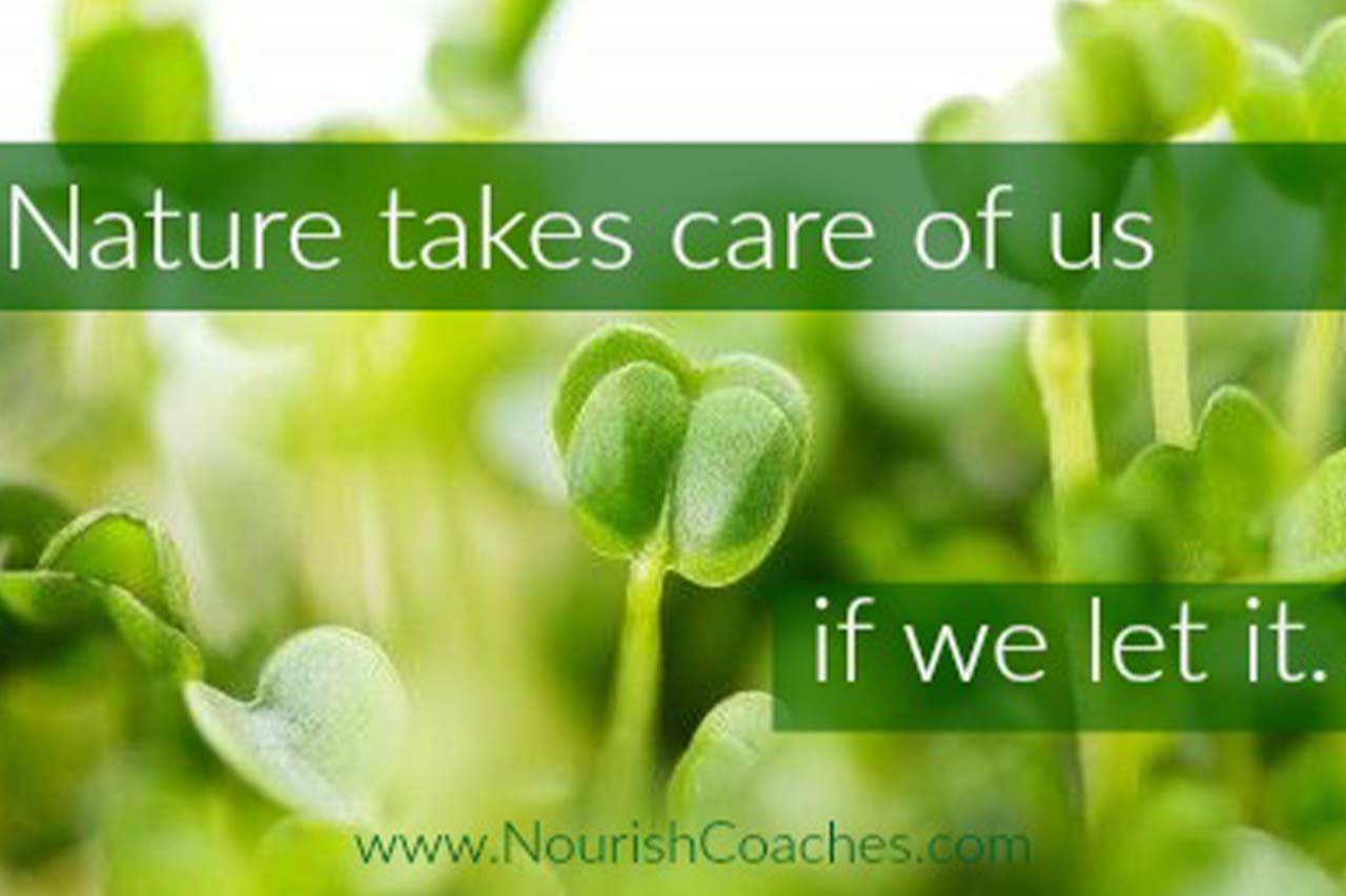 learn more about the benefits of eating with the seasons