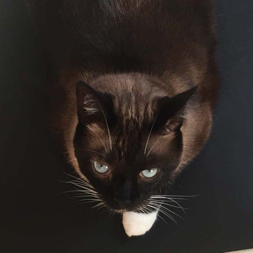 I became keenly aware of my short stopping habits.