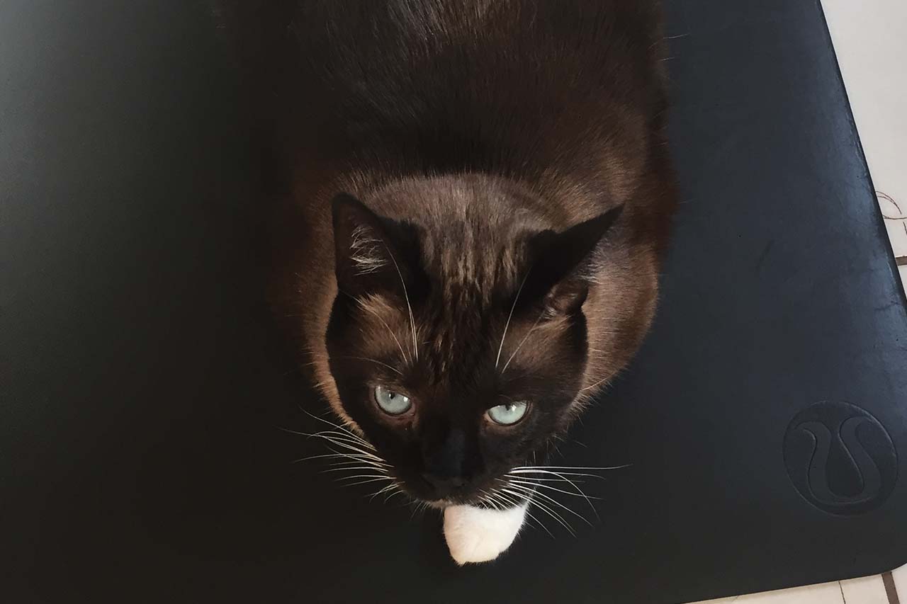 I became keenly aware of my short stopping habits.