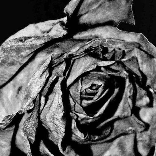 Smells are powerful and the fragrance industry knows it.