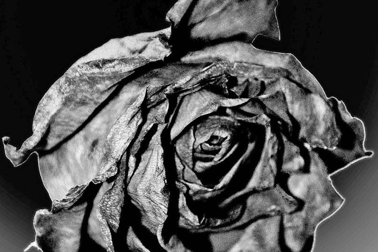 Smells are powerful and the fragrance industry knows it.