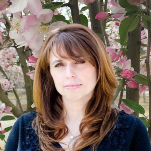 What Color is Your Sky? Interview with Jodi Grinwald