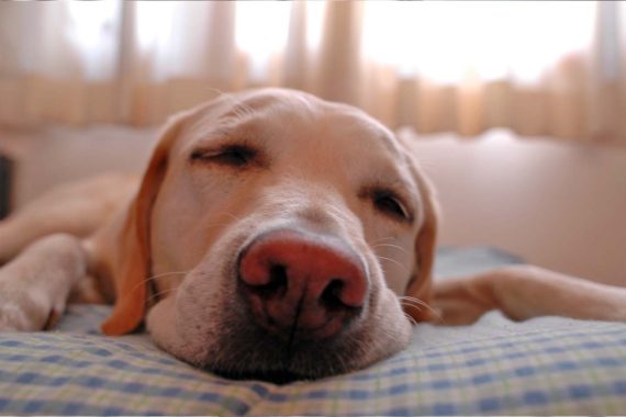 Most people don't get enough sleep
