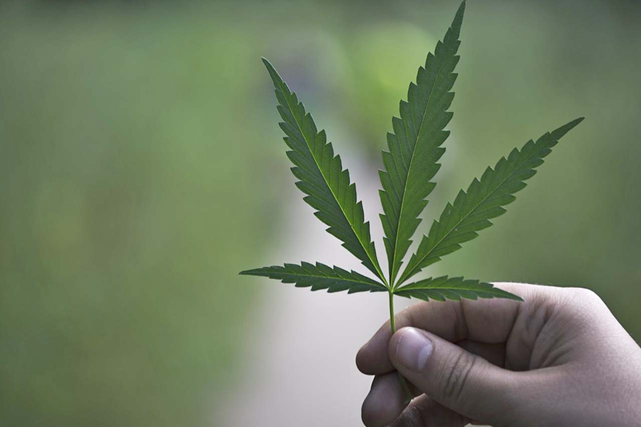 CBD is so popular right now