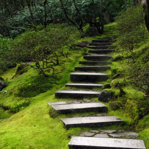 Doing these little things again and again