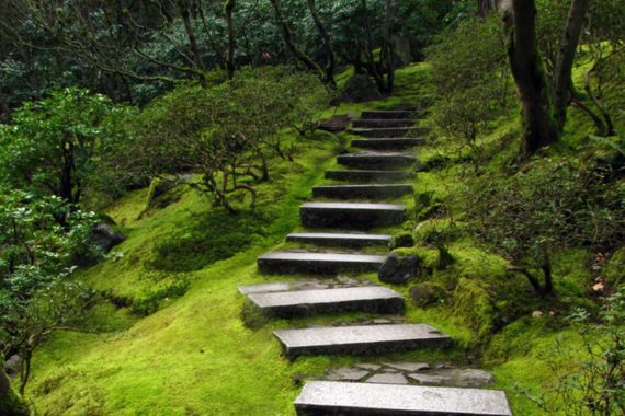 Doing these little things again and again