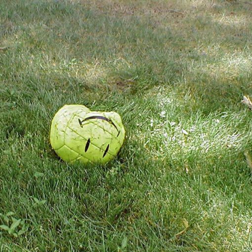 resources that help continuing the conversation