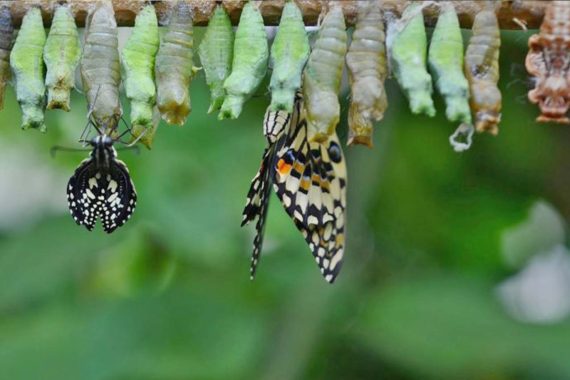 It's a time of sheltering in place