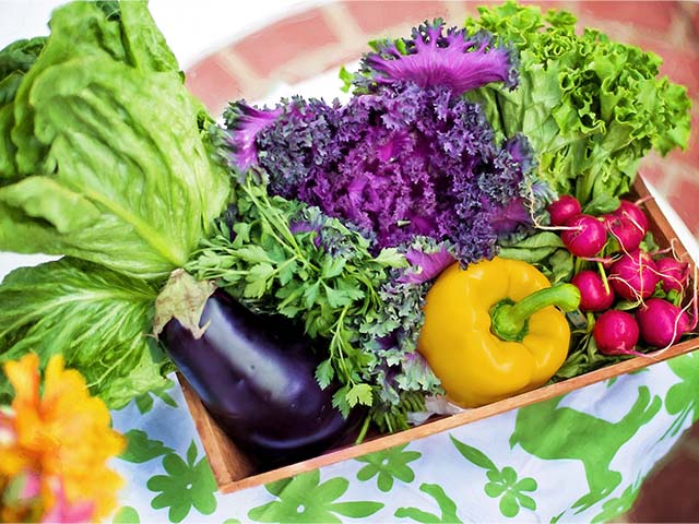 fresh foods