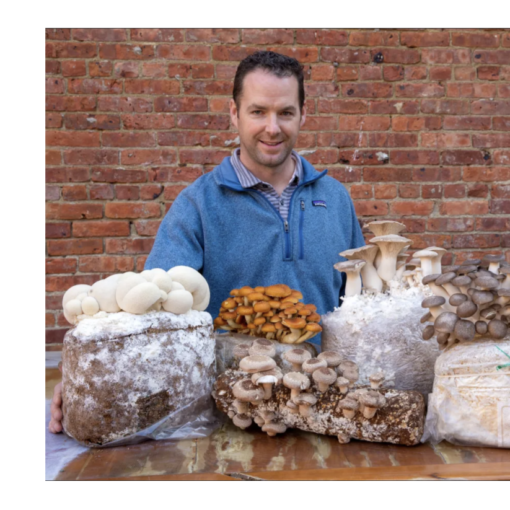 KC Sullivan of Two River Mushrooms