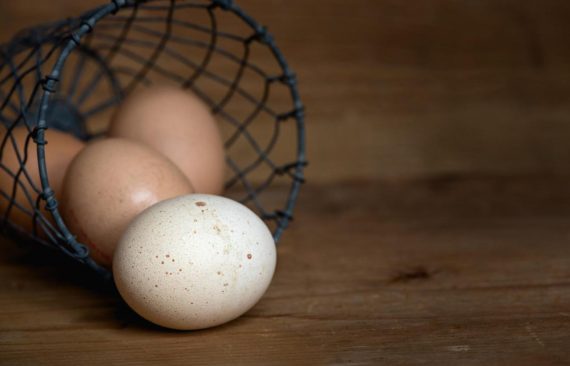 whole egg