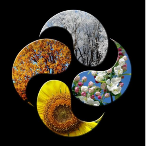 Eating with the Seasons