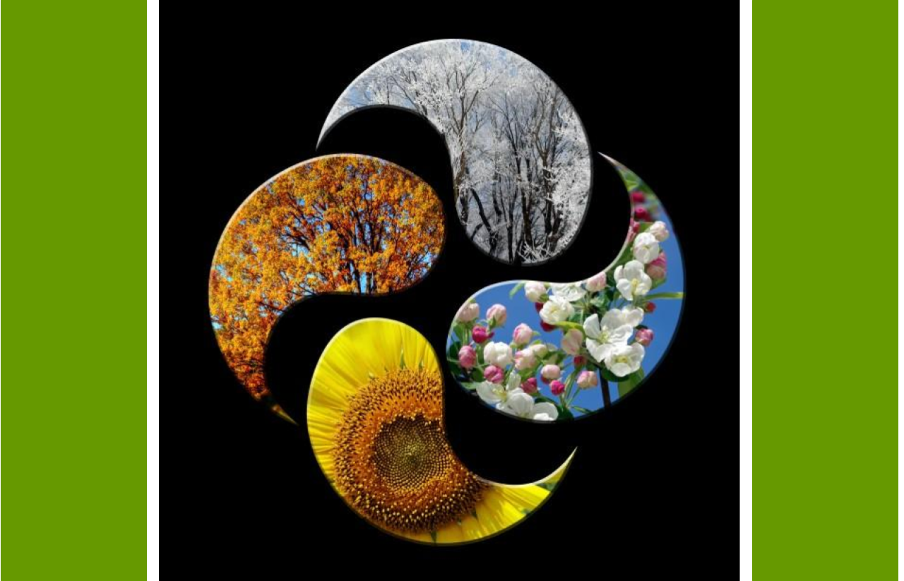 Eating with the Seasons