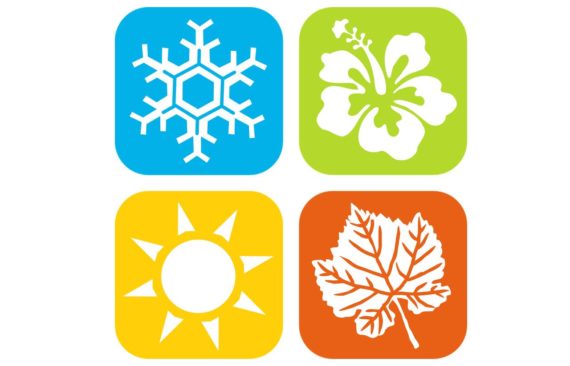 019 Eating with the seasons Summer