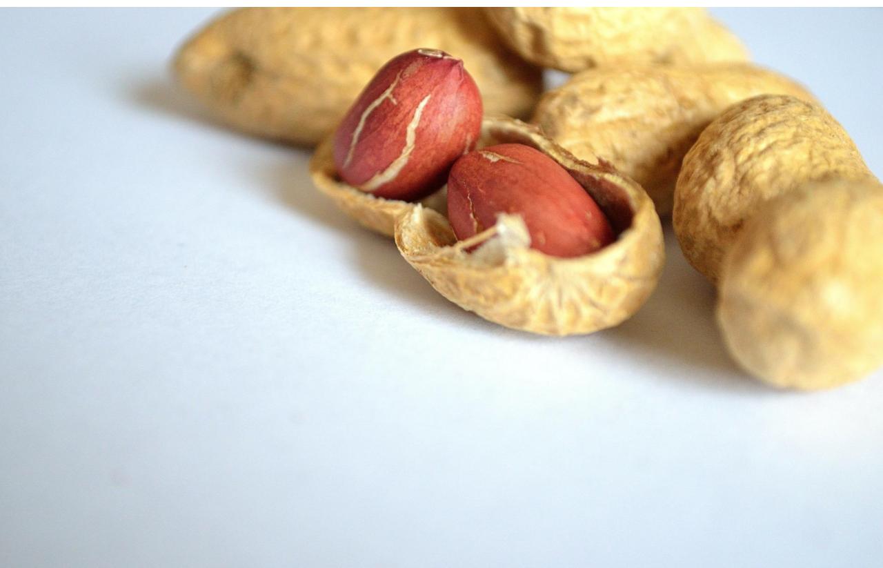 045 Praise the Peanut