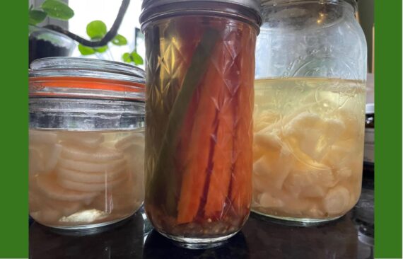 fermented vegetables