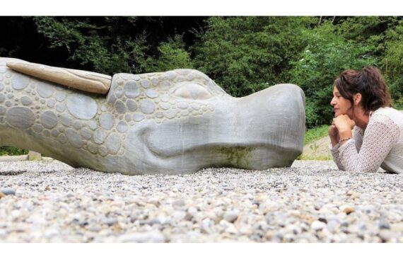 Menopause Adventure guide